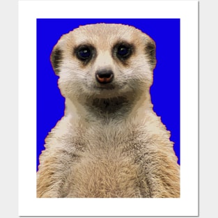 meerkat Posters and Art